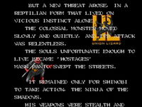 Game image #1 of Shadow Dancer Game image #1 of Shadow Dancer