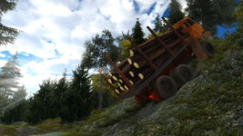 Game image #1 of Professional Offroad Transport Simulator