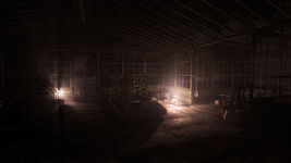 Game image #1 of Rise of Insanity