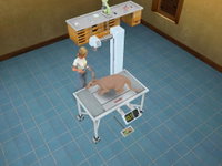 Game image #3 of Pet Vet 3D: Wild Animal Hospital