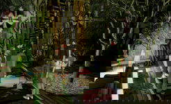 Game image #3 of 15 Days