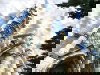 Game image #1 of The Elder Scrolls IV: Oblivion Game image #1 of The Elder Scrolls IV: Oblivion