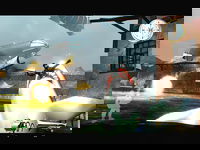 Game image #1 of Armed and Dangerous Game image #1 of Armed and Dangerous