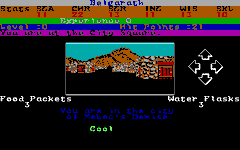 Game image #1 of Alternate Reality: The City