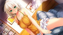 Game image #2 of The Princess, the Stray Cat, and Matters of the Heart