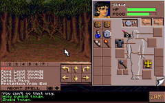 Game image #1 of Eye of the Beholder III: Assault on Myth Drannor