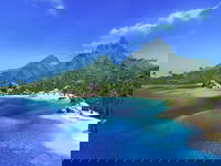 Game image #2 of Far Cry Game image #2 of Far Cry