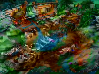 Game image #1 of Timon & Pumbaa's Jungle Games