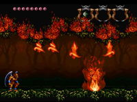 Game image #1 of Demon's Crest Game image #1 of Demon's Crest