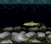 Game image #1 of Kawa no Nushi Tsuri: Shizenha Game image #1 of Kawa no Nushi Tsuri: Shizenha