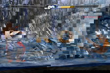 Game image #2 of Dead or Alive 3