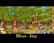 Game image #1 of Barney Bear Goes Camping Game image #1 of Barney Bear Goes Camping