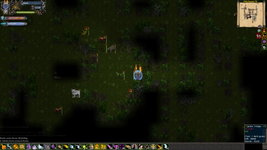 Game image #1 of Tales of Maj'Eyal