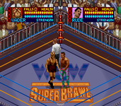 Game image #1 of WCW SuperBrawl Wrestling