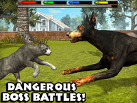 Game image #1 of Ultimate Cat Simulator Game image #1 of Ultimate Cat Simulator