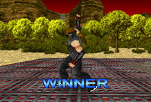 Game image #3 of Dead or Alive
