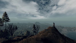 Game image #2 of Life Is Feudal: MMO