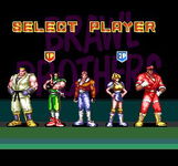 Game image #1 of Brawl Brothers