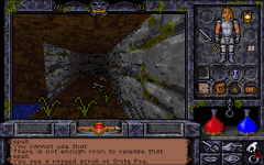 Game image #1 of Ultima Underworld II: Labyrinth of Worlds Game image #1 of Ultima Underworld II: Labyrinth of Worlds