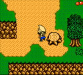 Game image #1 of Harvest Moon 3 GBC Game image #1 of Harvest Moon 3 GBC
