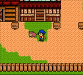 Game image #3 of Harvest Moon 3 GBC Game image #3 of Harvest Moon 3 GBC