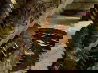 Game image #3 of Dark Messiah of Might and Magic Game image #3 of Dark Messiah of Might and Magic