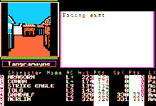 Game image #2 of The Bard's Tale II: The Destiny Knight