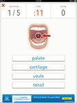 Game image #2 of Quizzitive – A Merriam-Webster Word Game Game image #2 of Quizzitive – A Merriam-Webster Word Game