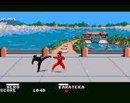 Game image #1 of Ninja Game image #1 of Ninja