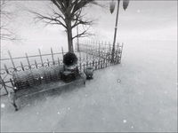 Game image #2 of Outcry Game image #2 of Outcry