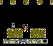 Game image #1 of Tiny Toon Adventures Game image #1 of Tiny Toon Adventures