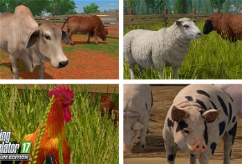 Image of Farming Simulator 17: Platinum Edition