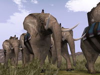 Game image #1 of Rome: Total War