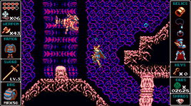 Game image #2 of Odallus: The Dark Call Game image #2 of Odallus: The Dark Call