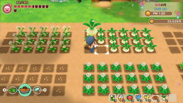Game image #2 of Story of Seasons: Friends of Mineral Town Game image #2 of Story of Seasons: Friends of Mineral Town