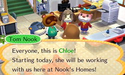 Game image #3 of Animal Crossing: Happy Home Designer