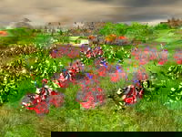 Game image #3 of Elven Legacy Game image #3 of Elven Legacy