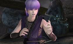 Game image #1 of Dead or Alive: Dimensions