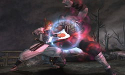 Game image #2 of Dead or Alive: Dimensions