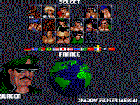 Game image #2 of Shadow Fighter