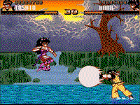 Game image #3 of Shadow Fighter