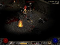 Game image #2 of Diablo II