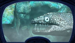 Game image #3 of Nancy Drew: The Creature of Kapu Cave Game image #3 of Nancy Drew: The Creature of Kapu Cave