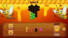 Game image #1 of Honey Comb Home