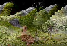 Game image #3 of Samorost Game image #3 of Samorost