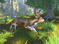 Game image #1 of Cabela's Trophy Bucks