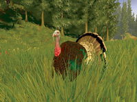 Game image #3 of Cabela's Trophy Bucks