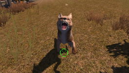 Game image #3 of Cabela's: The Hunt - Championship Edition Game image #3 of Cabela's: The Hunt - Championship Edition