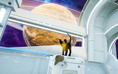 Game image #1 of Kitten'd