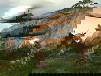 Game image #2 of Battlefield Vietnam Game image #2 of Battlefield Vietnam